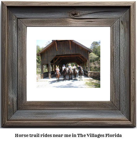 horse trail rides near me in The Villages, Florida